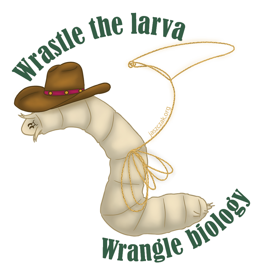 Larva Wrastle Sticker